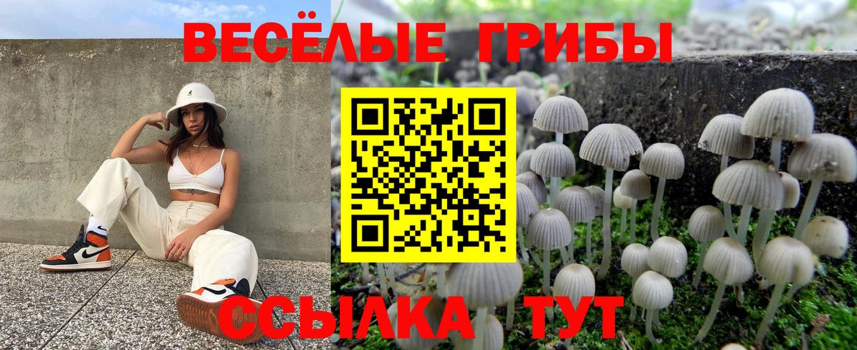 Тула  Галлюциногенные грибы Psilocybe  Вход с VPN 